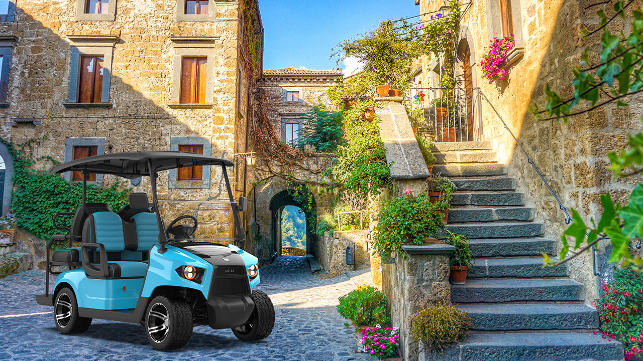 Neighborhood Electric Vehicles